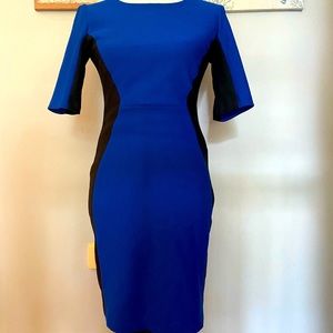 Bisou Bisou Form Flattering Dress